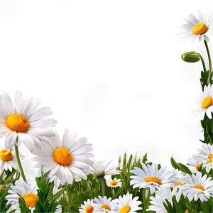 Daisy Flower Border Png 05252024 PNG image