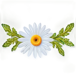 Daisy Flower Border PNG Rqn45