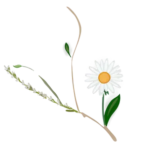 Daisy Flower Line Art PNG 05252024