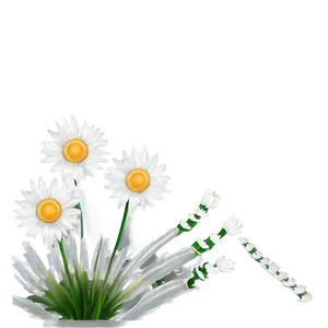 Daisy Flower Line Art PNG Pce
