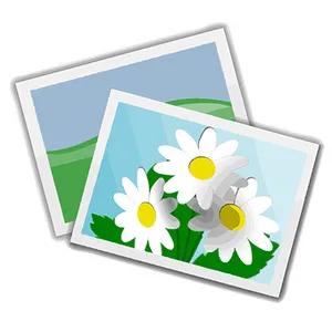 Daisy Flower Photo Icons PNG image