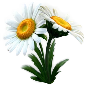 Daisy Flower Png Emm81 PNG image