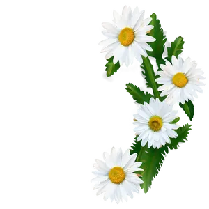Daisy Frame Png Vld PNG image