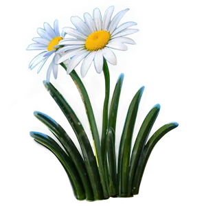 Daisy Graphic Png Wxy PNG image