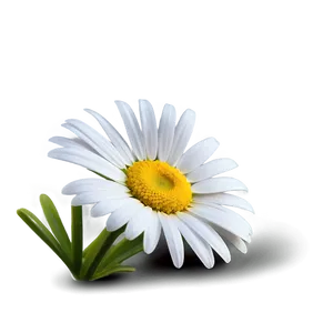 Daisy Icon Png 61 PNG image