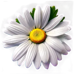 Daisy Icon Png Kgt PNG image