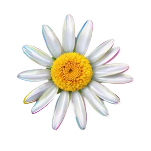Daisy Illustration Png 05212024 PNG image