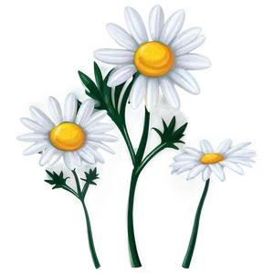 Daisy Illustration Png 16 PNG image