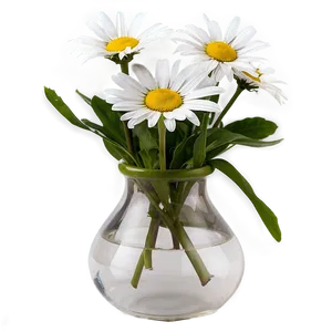 Daisy In Vase Png 32 PNG image