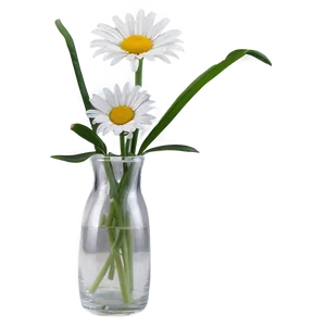 Daisy In Vase Png Moh PNG image