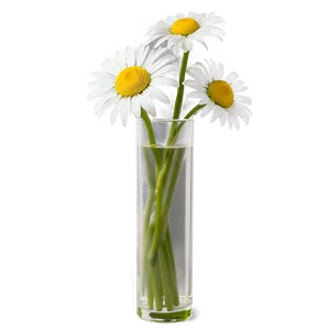 Daisy In Vase Png Qqy34 PNG image