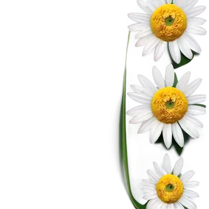 Daisy Logo Png Mmb PNG image