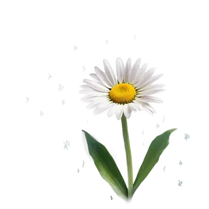 Daisy Outline Png Njo PNG image