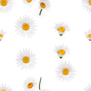 Daisy Pattern Png 05212024 PNG image