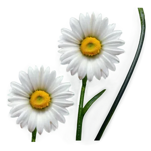 Daisy Pattern Png 17 PNG image