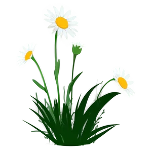 Daisy Silhouette Png 05212024 PNG image