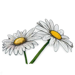 Daisy Sketch Png Qnx87 PNG image