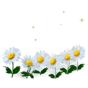 Daisy Vector Png 05212024 PNG image