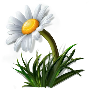 Daisy Vector Png Tvq94 PNG image