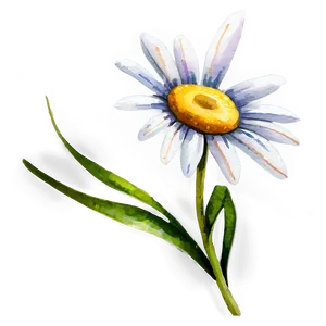 Daisy Watercolor Png 56 PNG image