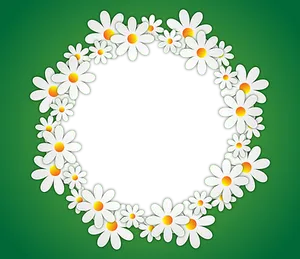 Daisy_ Wreath_ Green_ Background PNG image