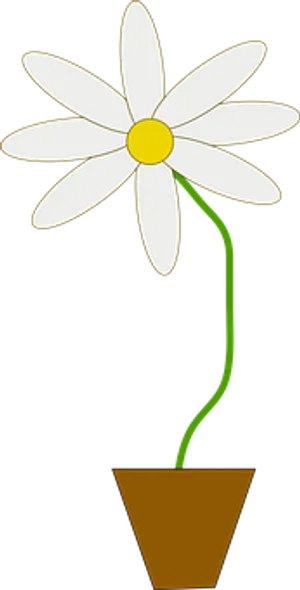 Daisyin Pot Vector Illustration