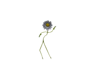 Dancing Daisywith Smiley Face