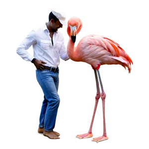 Dancing Flamingo Couple PNG Ltm