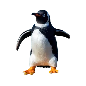 Dancing Penguin PNG 05062024