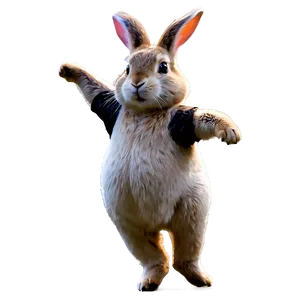 Dancing Rabbit PNG Qxu PNG