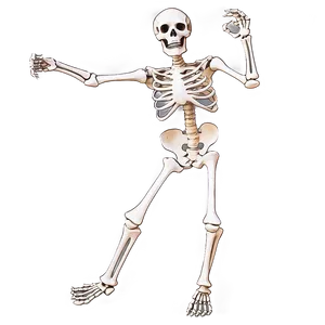 Dancing Skeleton Png Oxs PNG image