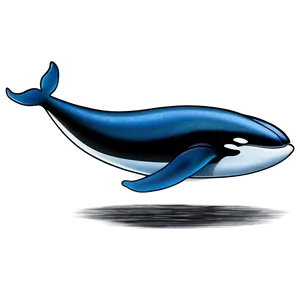 Dancing Whale Png Ulm PNG image