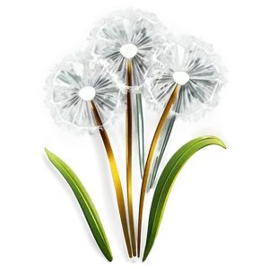 Dandelion Bouquet Art PNG 14