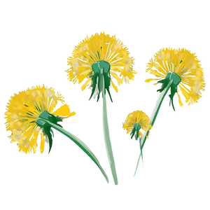 Dandelion Bouquet Art PNG 89