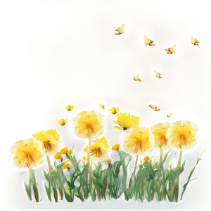 Dandelion Field PNG 05242024
