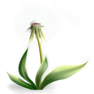 Dandelion Floral Pattern PNG 05242024 PNG