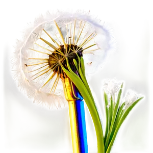 Dandelion Fluff PNG Ret11 PNG