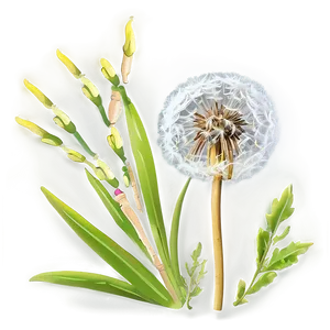 Dandelion Fluff PNG Vbg