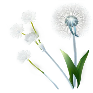 Dandelion Frost Morning PNG 87 PNG