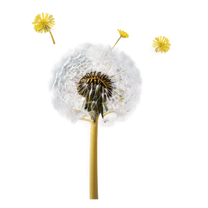 Dandelion Galaxy PNG 70