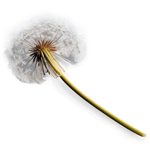 Dandelion In Autumn PNG Omv PNG