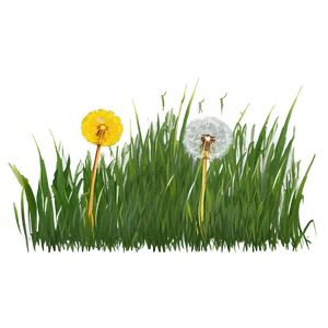 Dandelion In Grass PNG 4