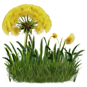 Dandelion In Grass PNG Pik PNG