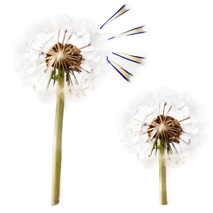Dandelion In Wind PNG Cyb51