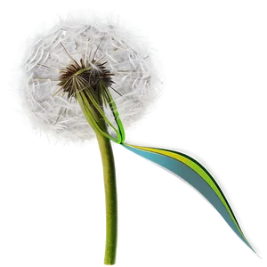 Dandelion In Wind PNG Hlo78