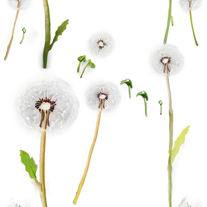 Dandelion Pattern PNG Aio35 PNG