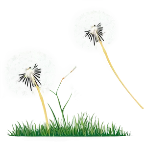 Dandelion Seed Flight PNG Vdn PNG