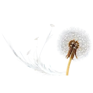 Dandelion Seed In Wind PNG Bkx43 PNG
