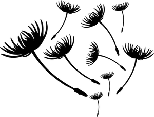 Dandelion Seeds Silhouette PNG image