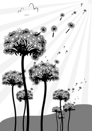 Dandelion_ Silhouette_ Night_ Scene